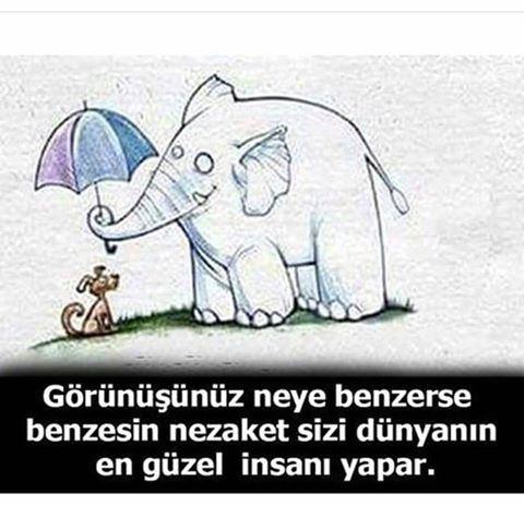 Bir insanı neler güzel yapar?