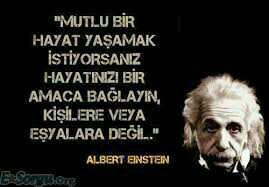 Albert Einstein gibi olmak ister miydiniz? isteseydiniz nedeni nedir?