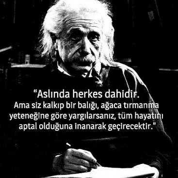 Albert Einstein gibi olmak ister miydiniz? isteseydiniz nedeni nedir?