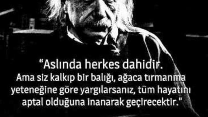 Albert Einstein gibi olmak ister miydiniz? isteseydiniz nedeni nedir?