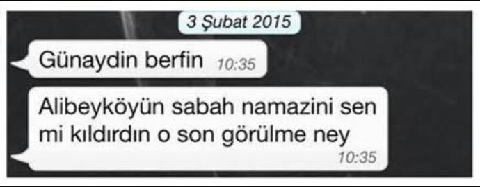 Sizce Whatsapp'ta son görülme nekadar  önemli? 