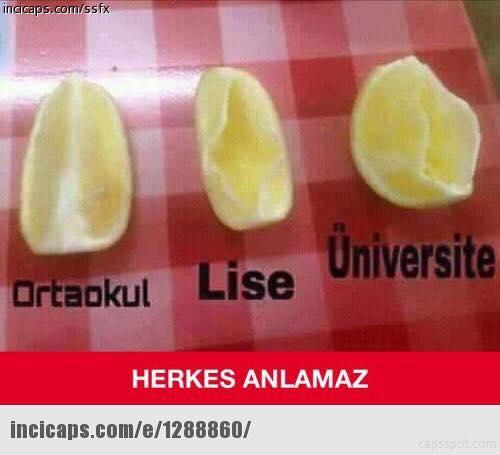 Bu caps te ne denmek istemiş ben anlamadım.?