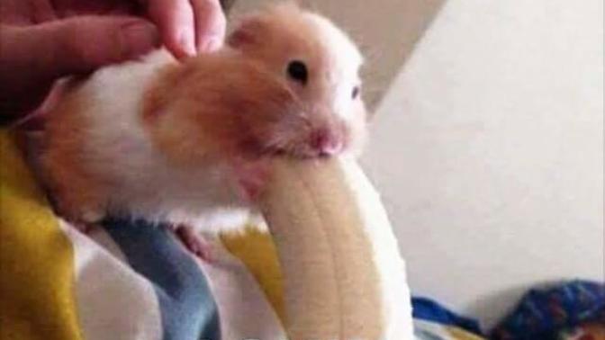 Bu nedir ya sjshhssj?