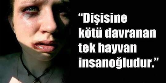 Dişisine kötü davranan tek canlı insan mıdır?