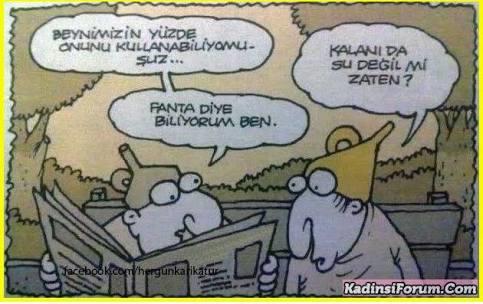 Deliye sormuşlar neden delirdin ?