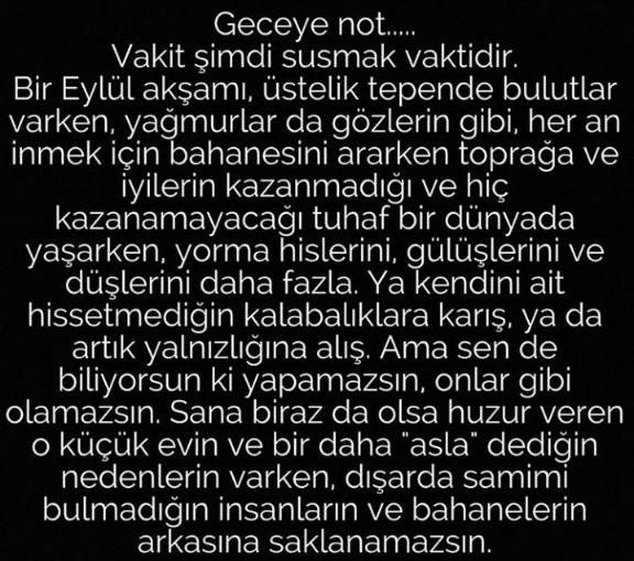 Geceye not bırakın desem? Neler düşerdi parmaklarınızdan satırlara?