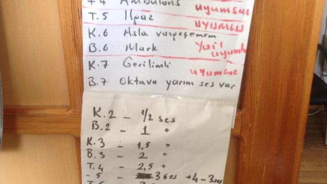 Müzikten anlayan lütfen bakin ya ;( ?
