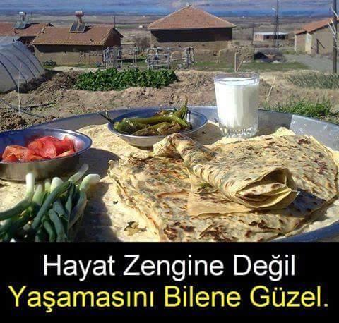 "Hayat Zengine Değil, Yaşamasını Bilene Güzel" Sözüne katılıyor musunuz?