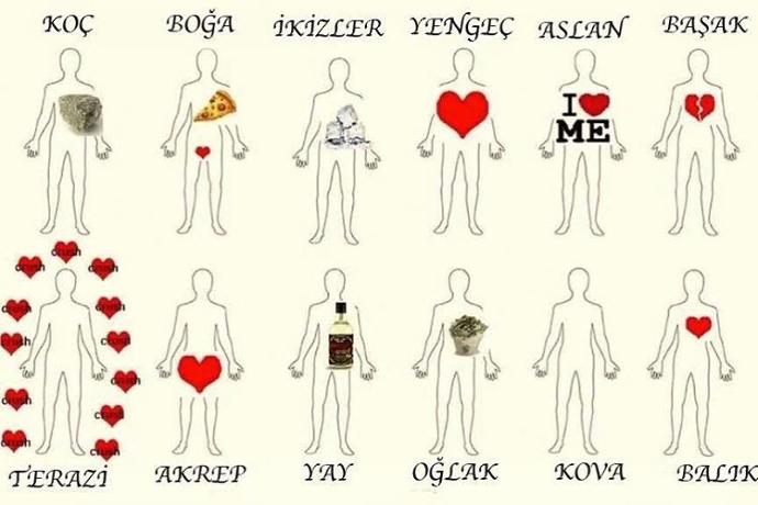 sizce en cool burç hangisi ?