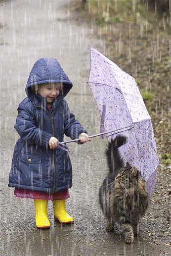 İyi insan olun. Çünkü iyi insan olursanız kaybedeceğiniz tek şey kötülüktür. Bu güzel söze Katılıyor musunuz ?