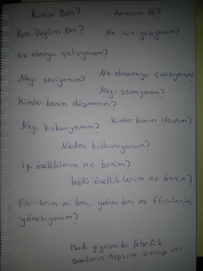 Sizce kız kardeşim ruh hastası mı (resimli)?