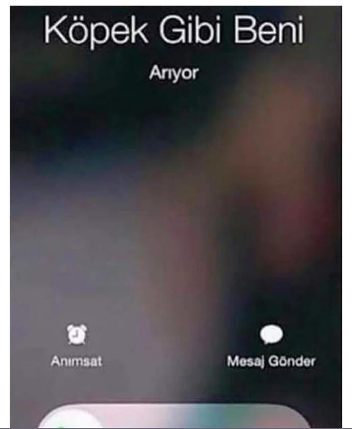 Egolu musun yoksa ego bende yok mu diyorsun ?