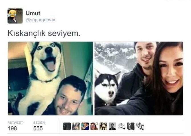 Hayvanlar da kıskanır mı sizce ?