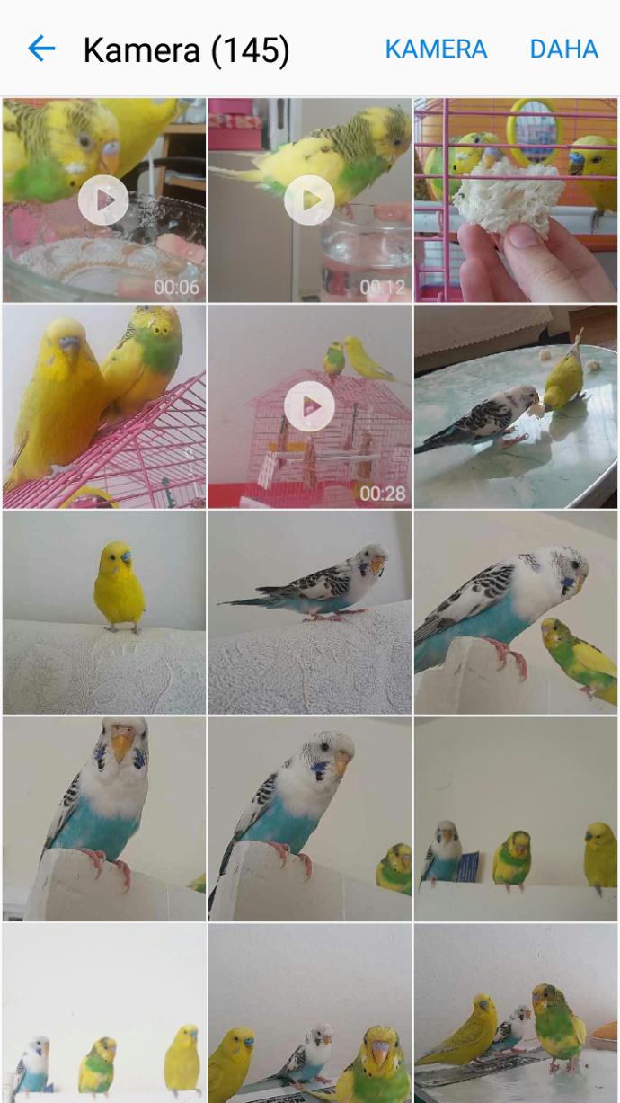 Fazla resimleri nereye yükleyebilirim?