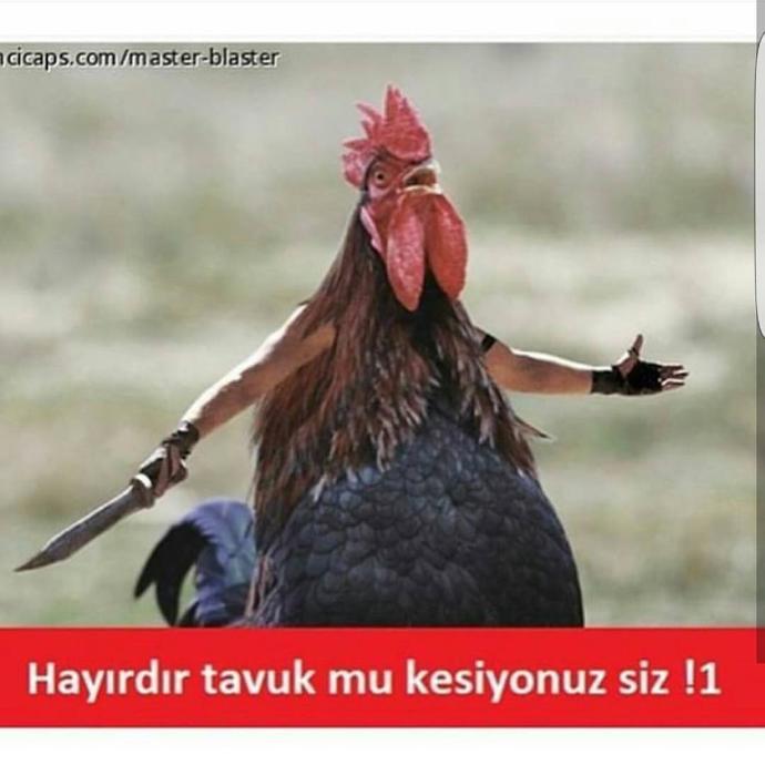 Atara atar, gidere gider yapar mısınız 😂?