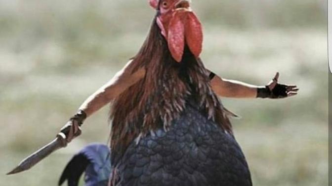 Atara atar, gidere gider yapar mısınız 😂?