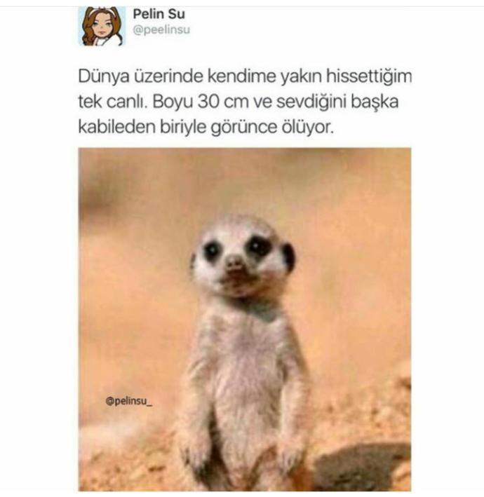 Sizce kız neden bu fotoğrafa sevgilisini etiketlemiş olabilir onu bu fotoya etiket yaparak ne demek istemiş ona 👈👈👈?
