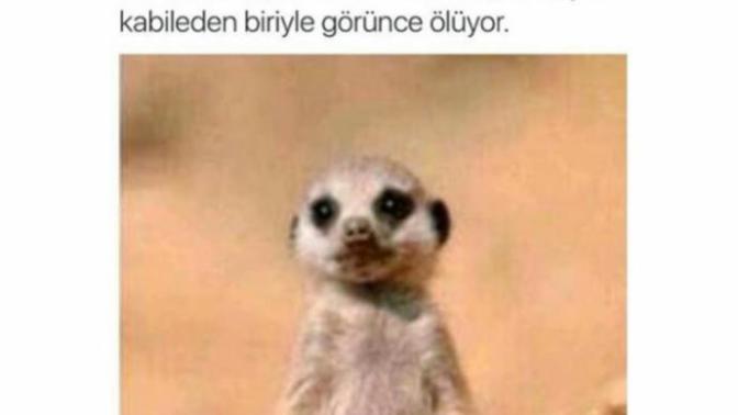 Sizce kız neden bu fotoğrafa sevgilisini etiketlemiş olabilir onu bu fotoya etiket yaparak ne demek istemiş ona 👈👈👈?
