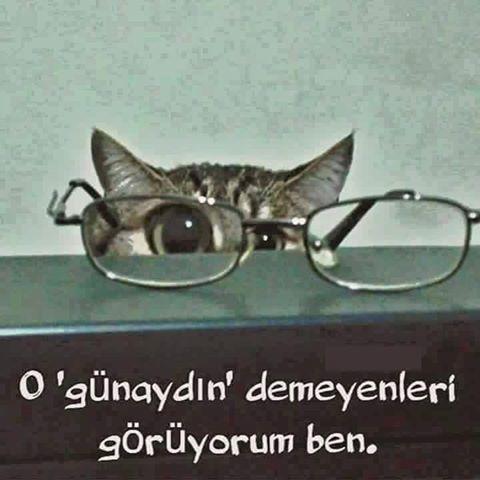 Yokmu bir Çılgın bizede desin Günaydın?‎‏