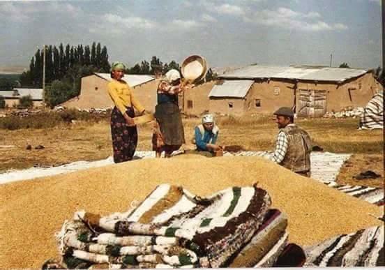 Köy hayatı bir başkadır diyor musunuz? Köy hayatını kimler özlüyor acaba?