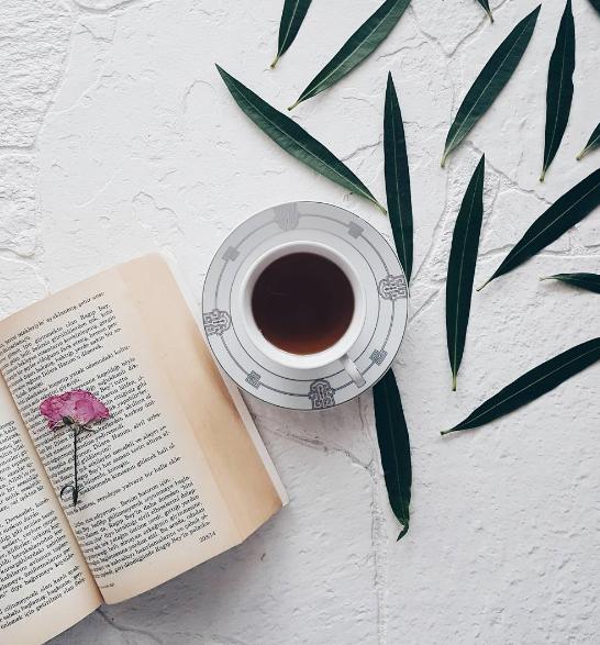 İnstagramın en güzel kitap ve fotoğraf severler için en güzel instagram sayfaları değil mi?