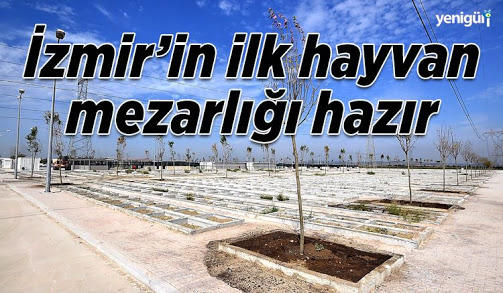 Hayvanseverlik son yıllarda sizce de artmadı mı?