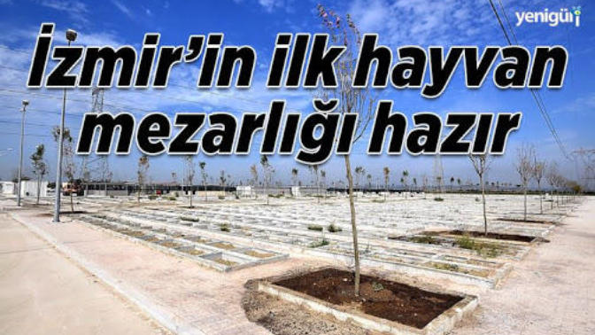 Hayvanseverlik son yıllarda sizce de artmadı mı?