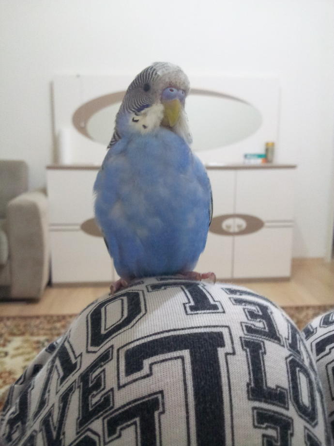 Kusum kacti ve ben cok uzgunum acaba nazar mi degdi kuzuma ?