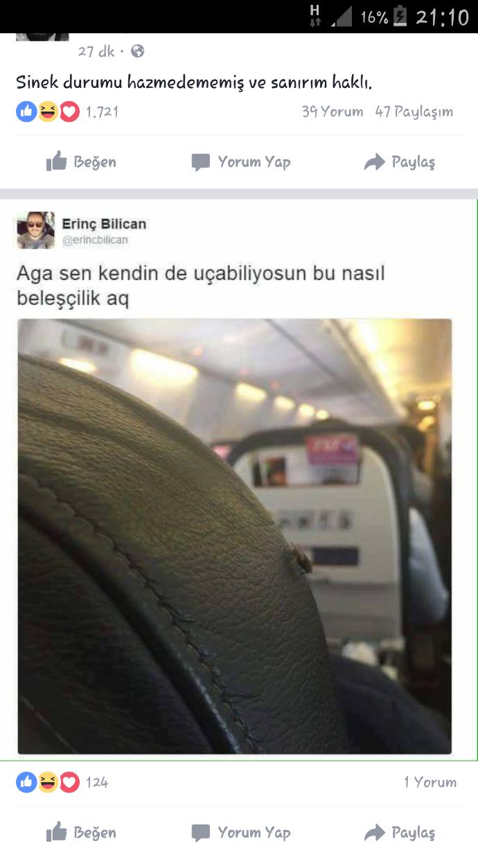 Dün paylaşmıstım böyle belesçilik mi olur diye sineğin cevabı nasıl olmuş (Resimli) 😀😀?
