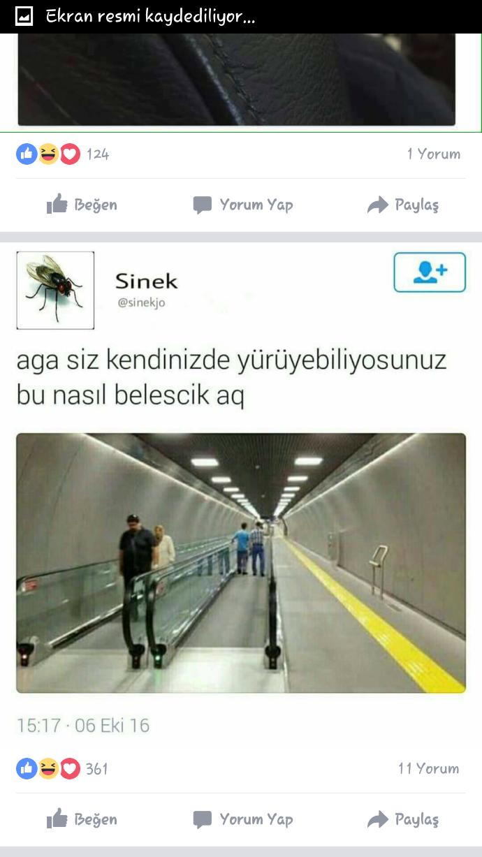 Dün paylaşmıstım böyle belesçilik mi olur diye sineğin cevabı nasıl olmuş (Resimli) 😀😀?