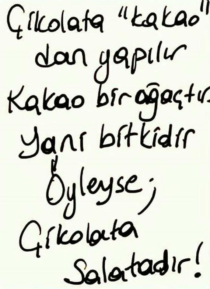 Kakao ağaçsa, çikolataya salata denilebilir mi?