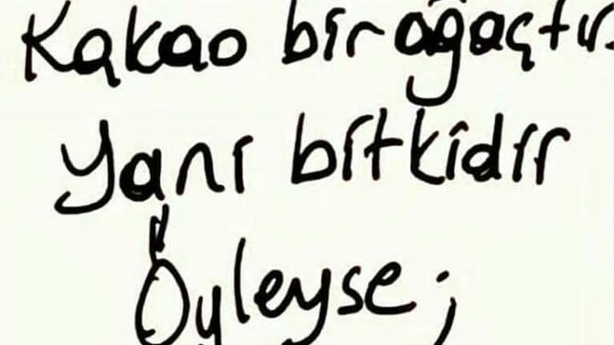 Kakao ağaçsa, çikolataya salata denilebilir mi?
