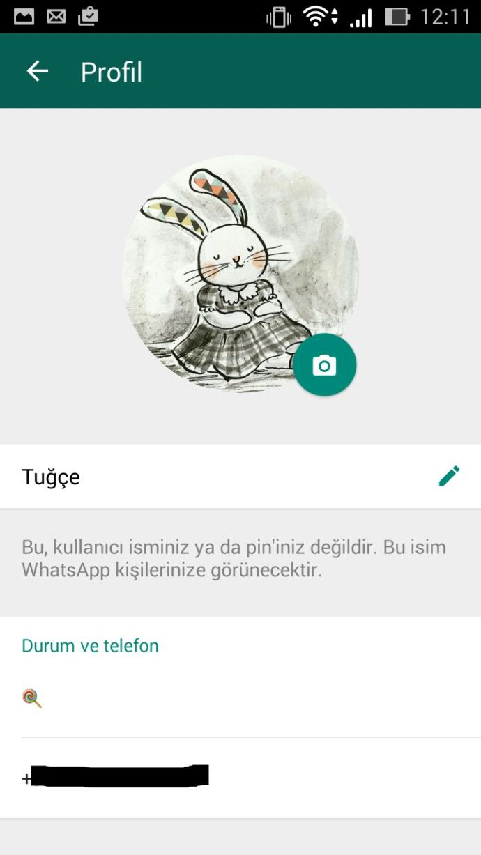 Whatsapp profil resmim ve durumum güzel mi sizce 😌?