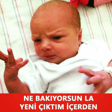Güldüğünüz Capsleri Atar Mısınız 😂?