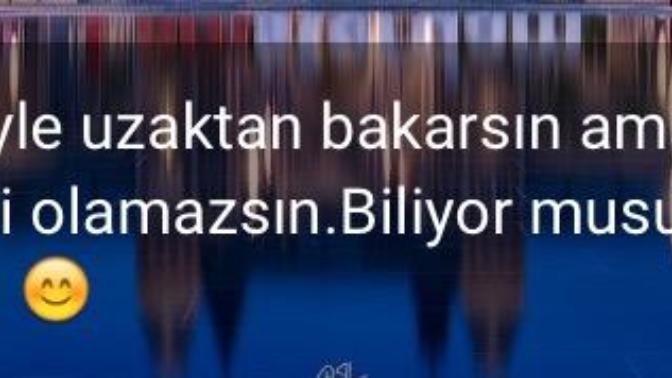 Neden profilinize laf sokmalı şeyler yazıyorsunuz?