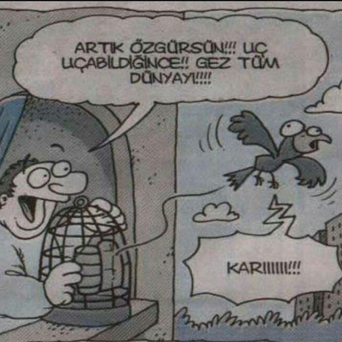 Muhabbet kuşum kudurdu sürekli  tüneginde şey yapıyor .. bunların şaplı yemi oluyor mu ki ?