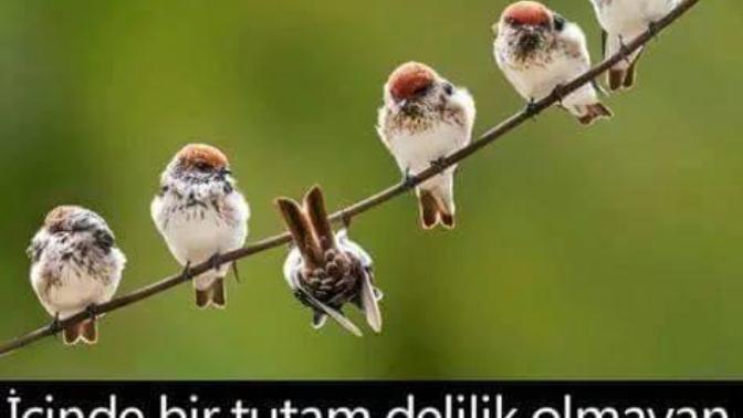 Hayatınızda eksik olan şey nedir?