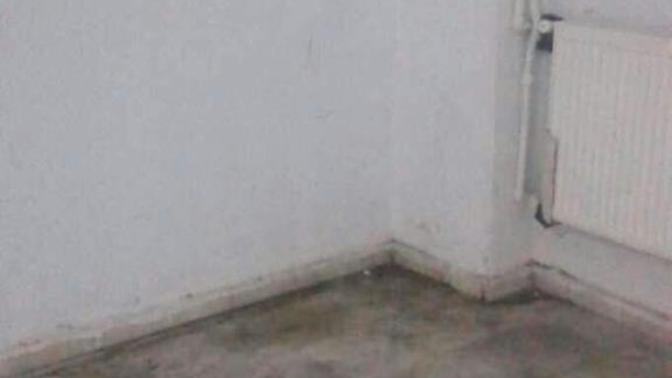 Bana kampüste şizofren diyen çocuğu sıkıştırdım (fotoğraflı)?