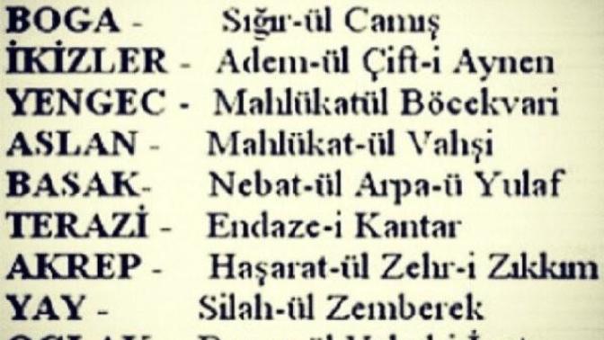 Burcunuzun arapça karsılıgı neymıs :D resımlı?