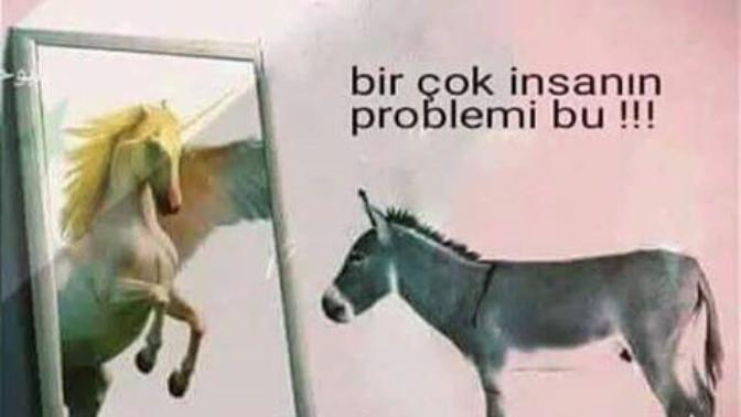 İnsanların en kötü yanı kendini vazgeçilmez görmesi, burnu büyük olması, kendisini dev aynasında görmesi. Çözümü varmı?