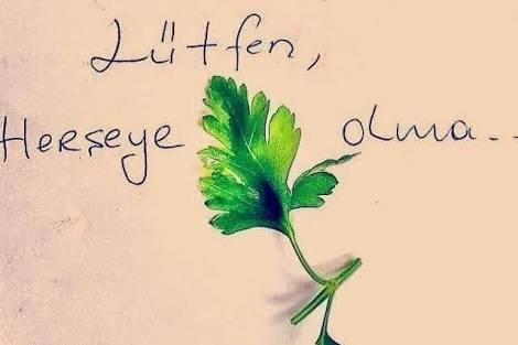Her  şeye  maydanoz  olur musun ?