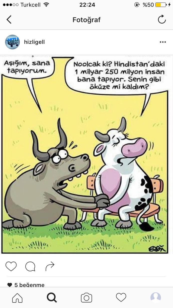 Bu sitede çok sapık kızlar var! Ne yapacağız?