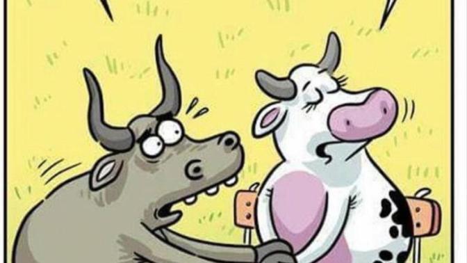 Bu sitede çok sapık kızlar var! Ne yapacağız?