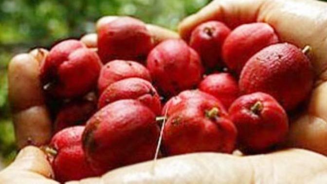 Aranızda Avustralya da yaşayan var mı? 