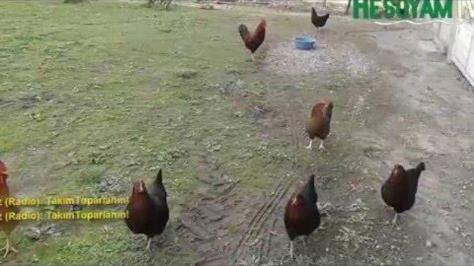 Yeni nesil hakkında ne düşünüyorsunuz?