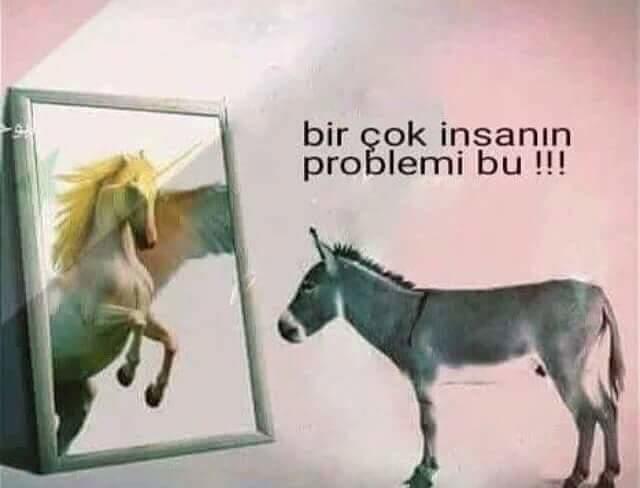Sizcede bir kısım insanın en büyük sorunu bu değil mi :) ?