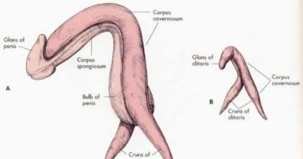 Daryoda notanish odam bilan jinsiy aloqa qilish Keksa ayollarning ichkariga kirishi pornosi