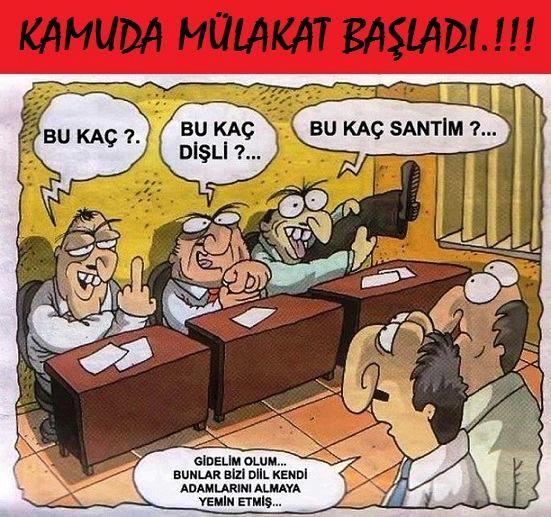 Sizce karikatür doğru mu?