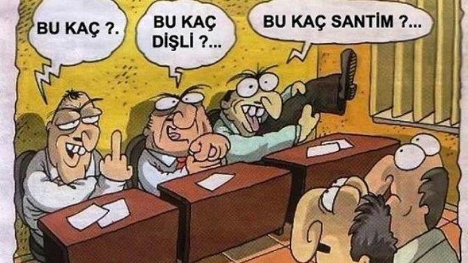 Sizce karikatür doğru mu?