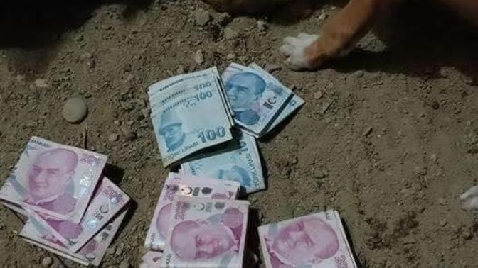 Köpek dahi paranın yüzüne bakmaz iken para için köpekleşen insanlar hakkında ne düşünüyorsunuz?